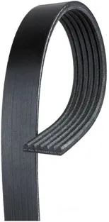 Premium Automotive V-Ribbed Belt