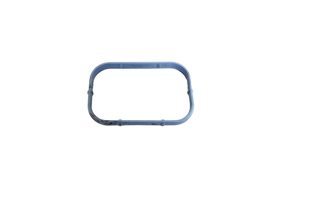 05184562ac_3.jpg Inlaatspruitstuk pakking 3.6 V6 plenum-spruitstuk, per stuk - Afbeelding 1